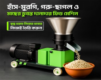 ফিড প্লেট মেশিন ( ৩ রোলার )